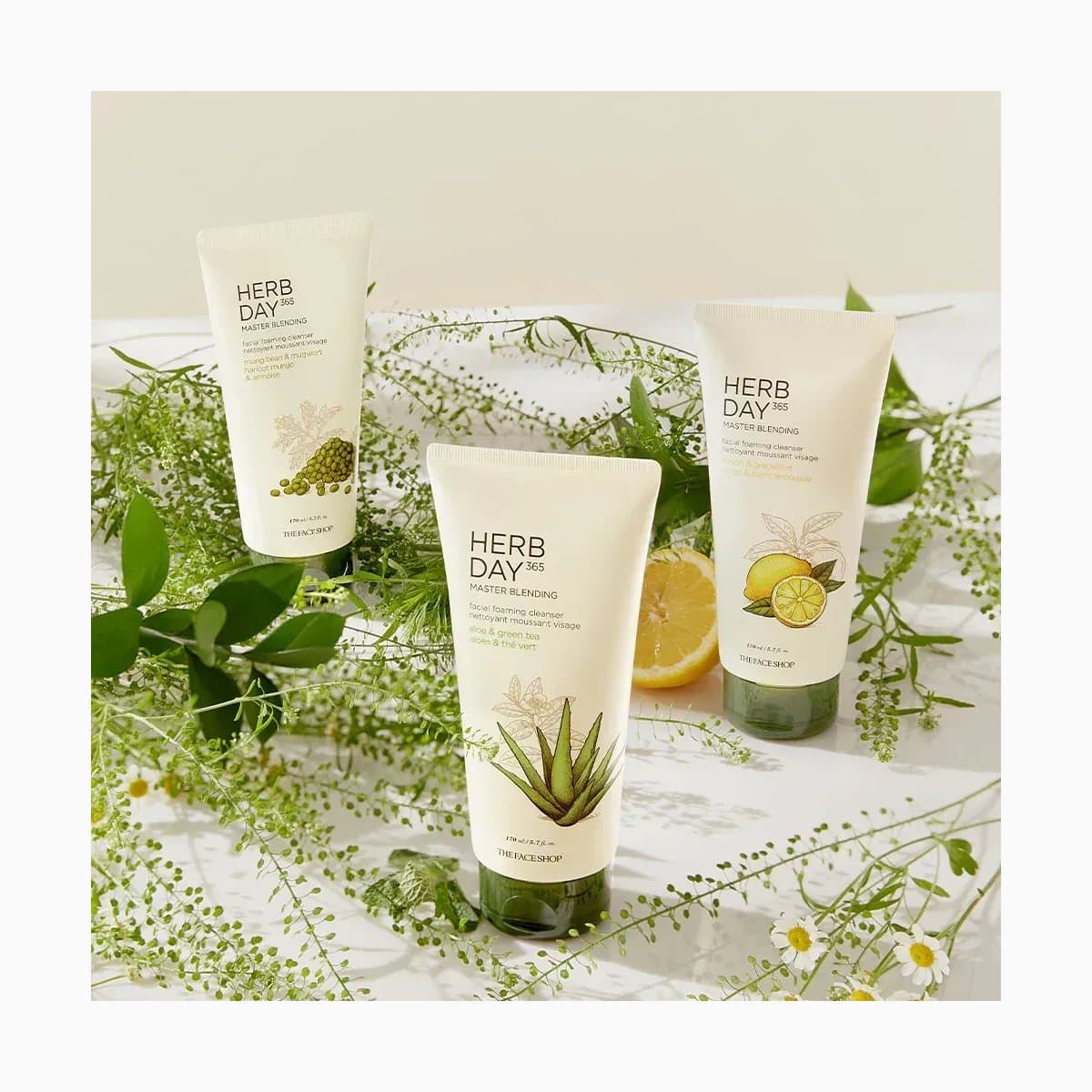 HERBDAY MB FOAMING CLEANSER TRIO DARCYGO