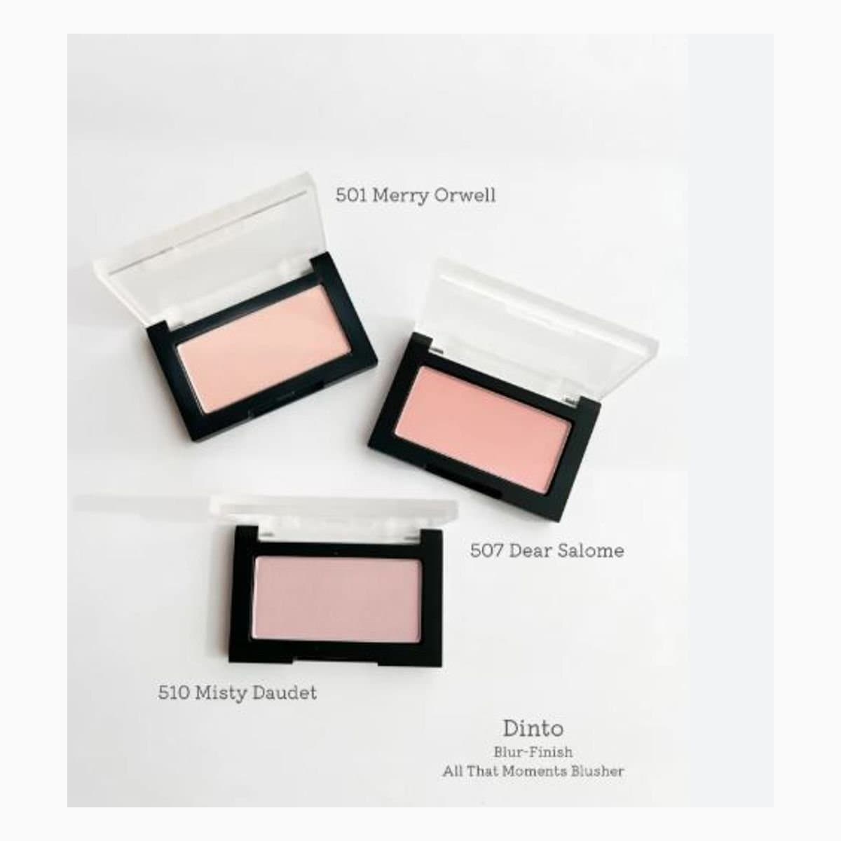 Dinto Blur-Finish All that Moments Blusher 510 Misty Daudet