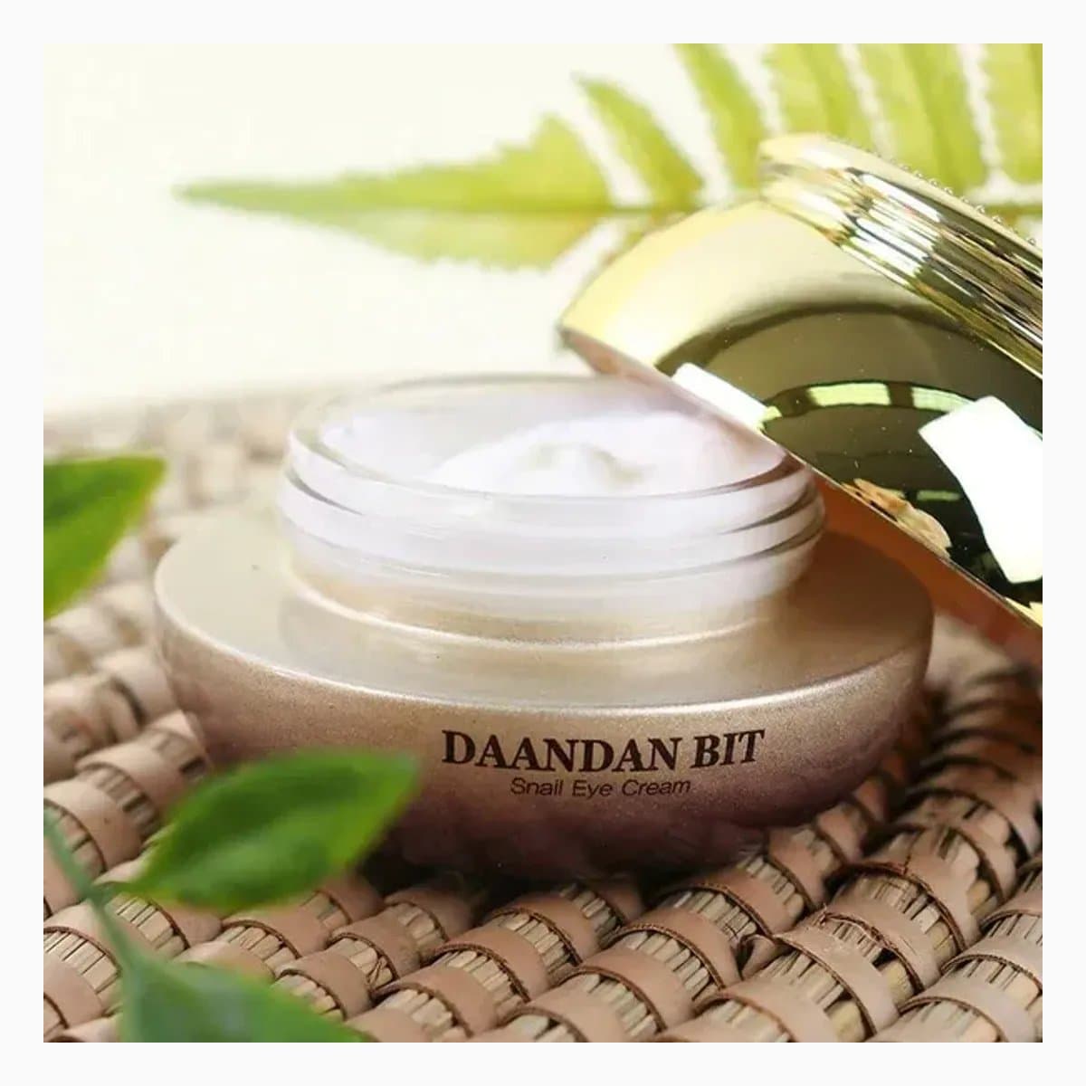DAANDANBIT SNAIL EYE CREAM