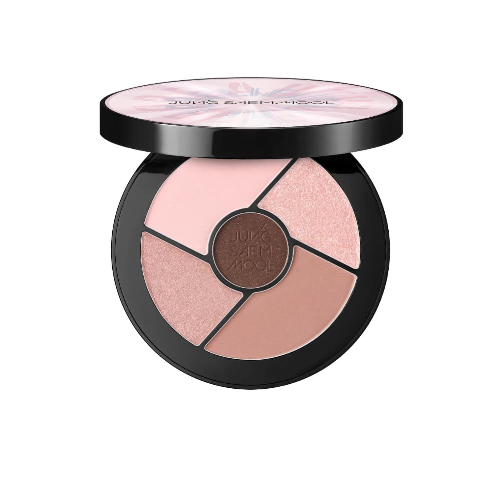 JUNGSAEMMOOL Artist Eye Palette Core (Red Brown)