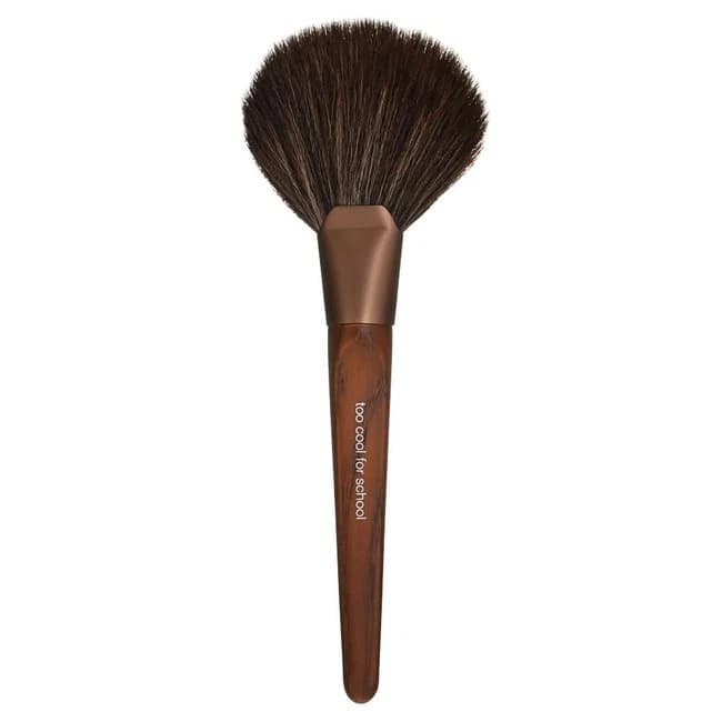 ARTIST VEGAN POWDER FAN BRUSH